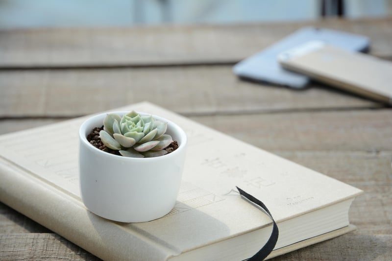 Personalized Planters